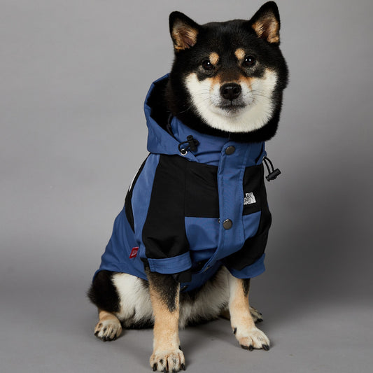 Windproof Dog Raincoat