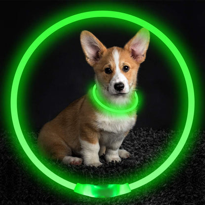 Neon Safety Collar