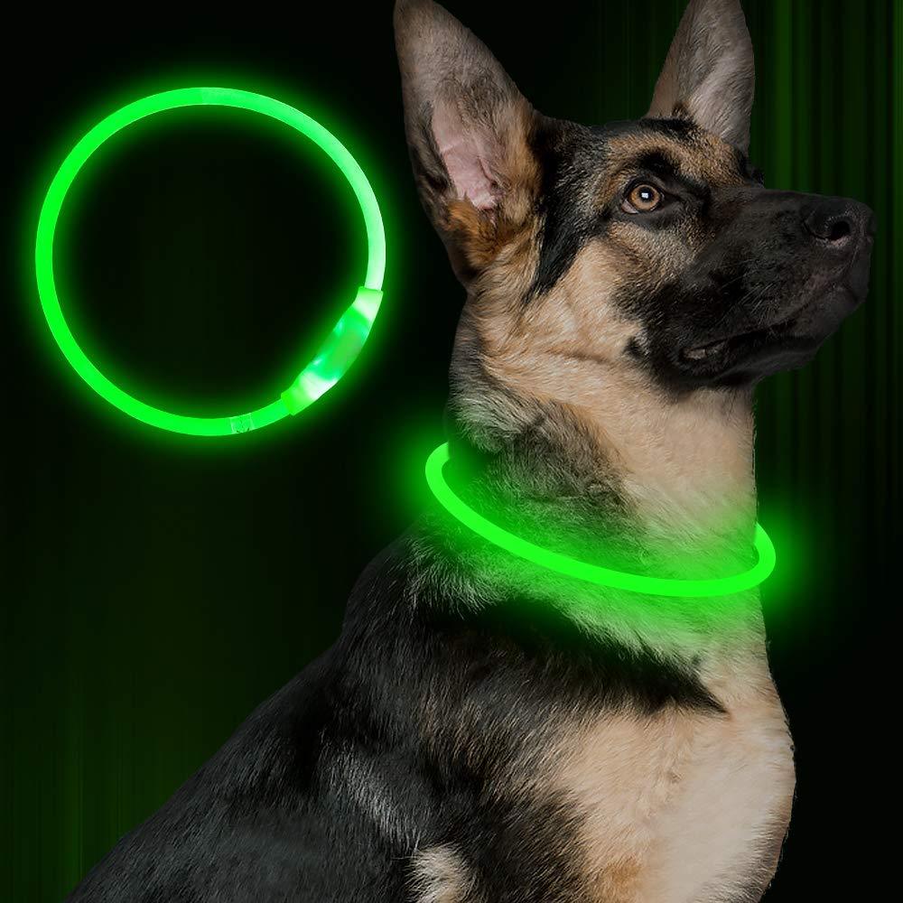 Neon Safety Collar